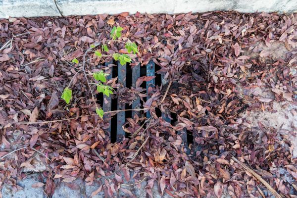 Cost of Yard Drain Unclogging in Rapid City