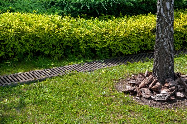 Cost of Residential Landscape Drainage in Rapid City