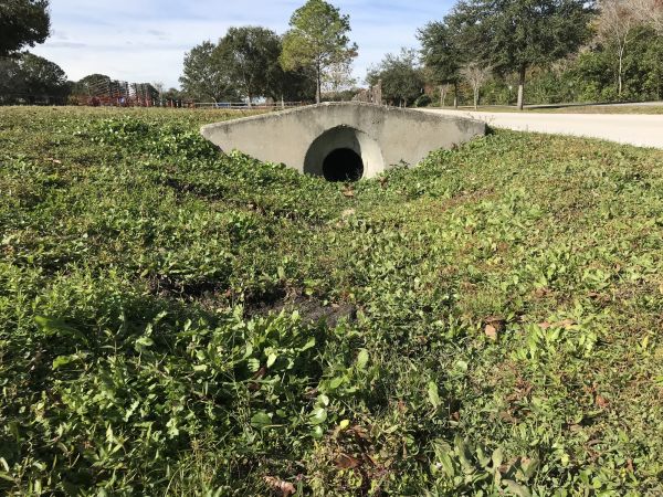 Cost of Swale Drainage Service in Rapid City