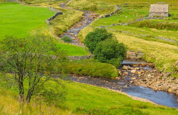 Cost of Swale Repair in Rapid City